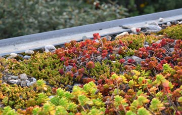 the cost of Elrington green roof installation