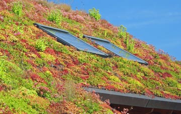 Elrington living roof systems