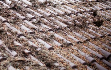 Elrington roof cleaning companies