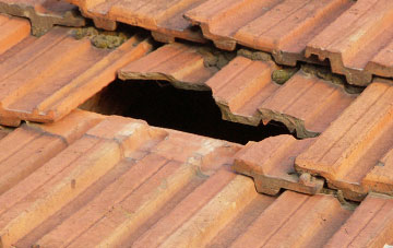 roof repair Elrington, Northumberland
